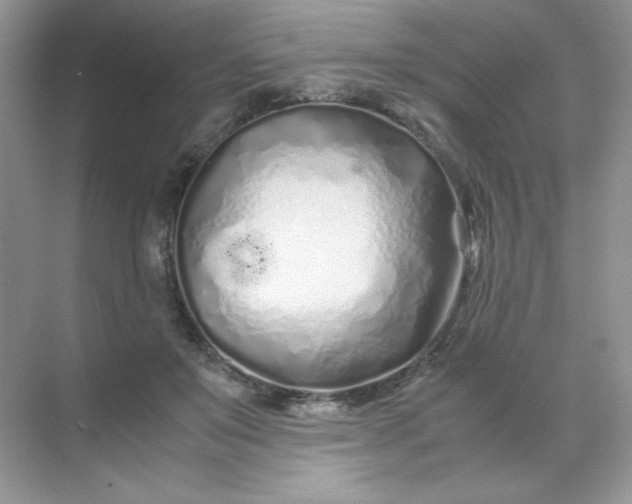 X0000071970503200607212322