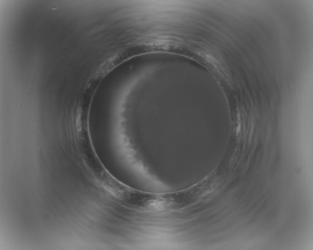 X0000071970504200607212322