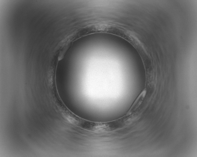 X0000071970505200607212322