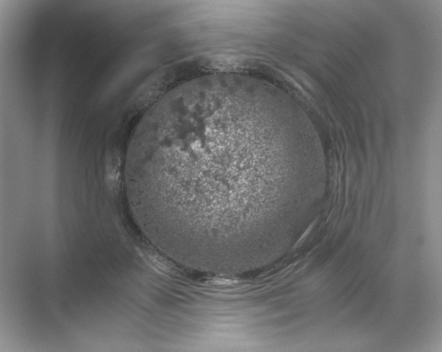 X0000071970507200607212322