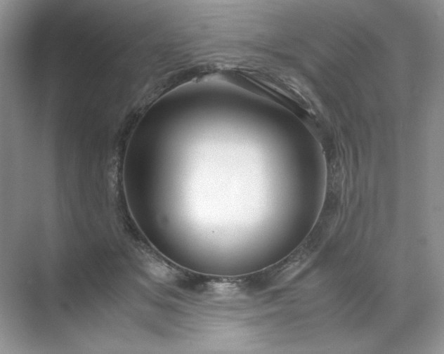 X0000071970509200607212322