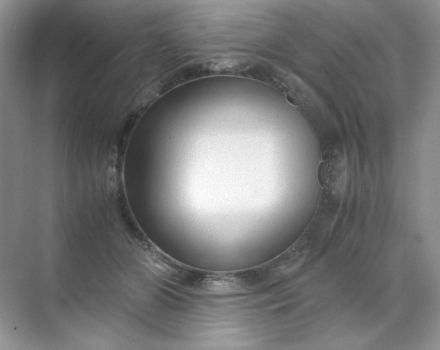 X0000071970510200607212321