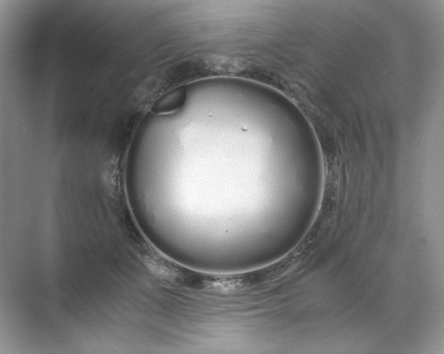 X0000071970511200607212321