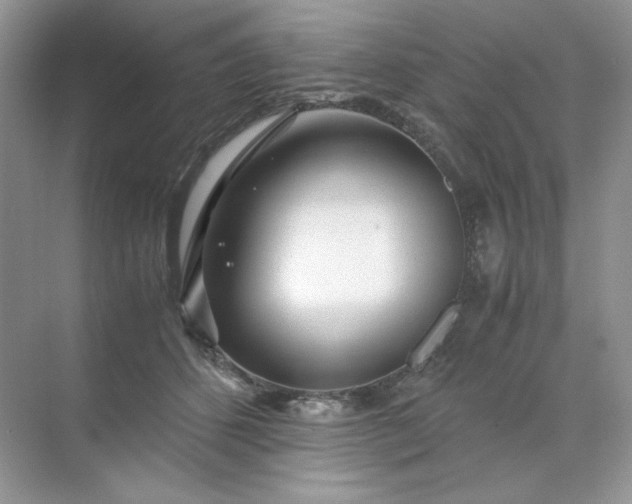 X0000071970512200607212321