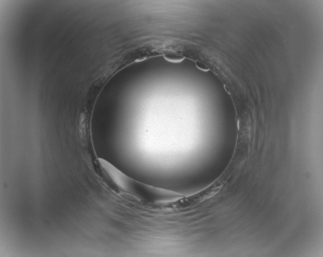 X0000071970513200607212321