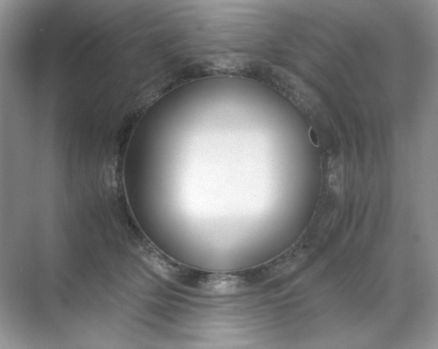 X0000071970514200607212321