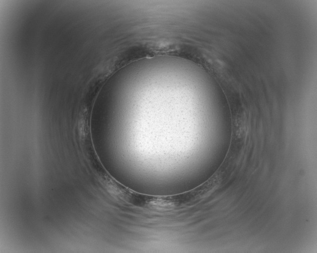 X0000071970515200607212321