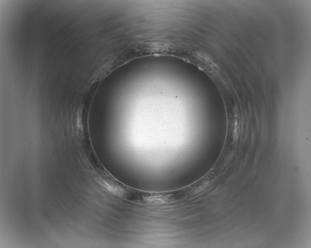 X0000071970516200607212321