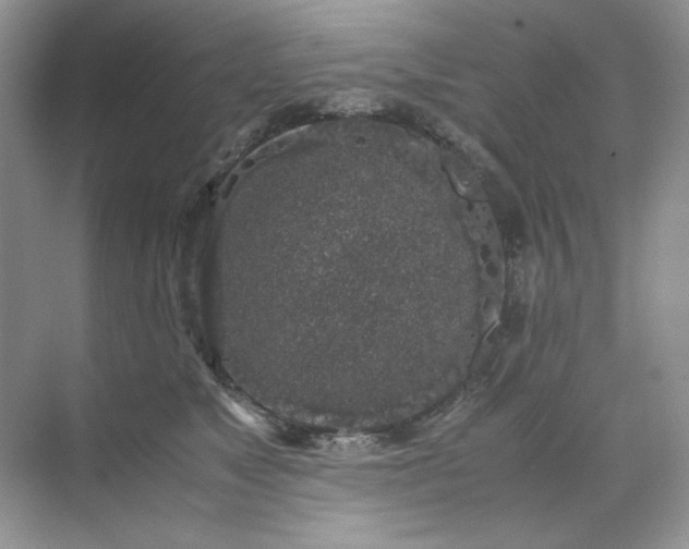 X0000071970517200607212321