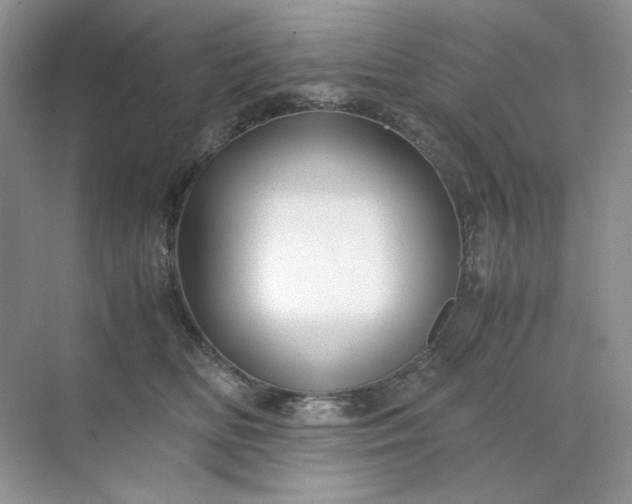 X0000071970518200607212321