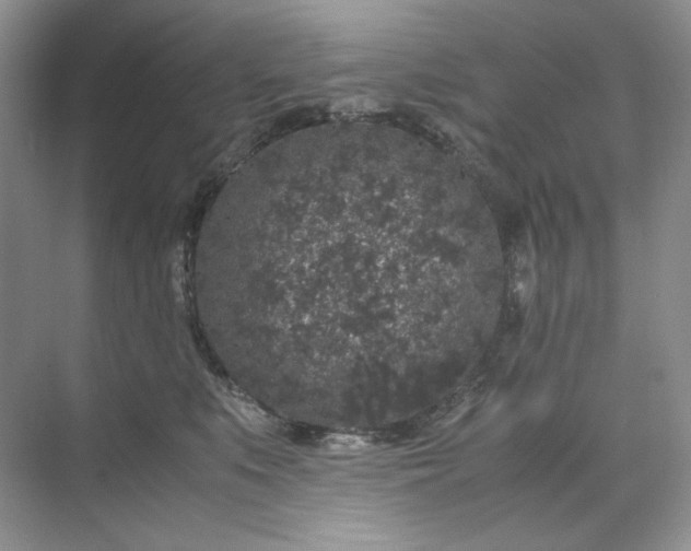 X0000071970519200607212321