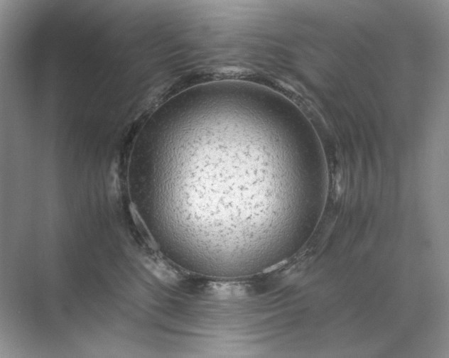 X0000071970520200607212321