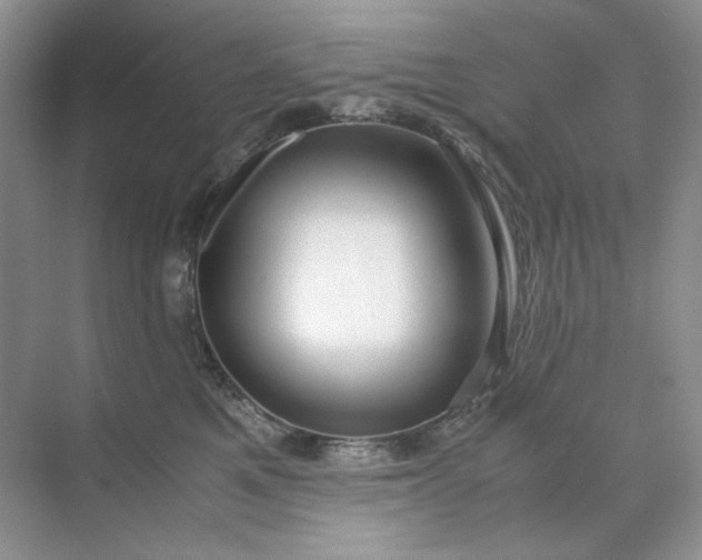 X0000071970521200607212321