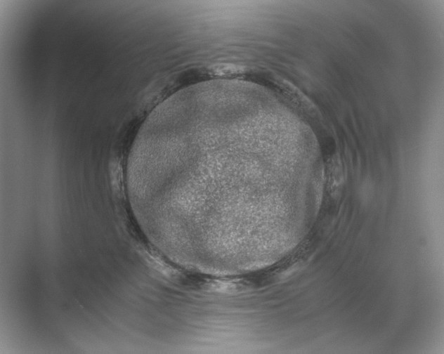 X0000071970523200607212321