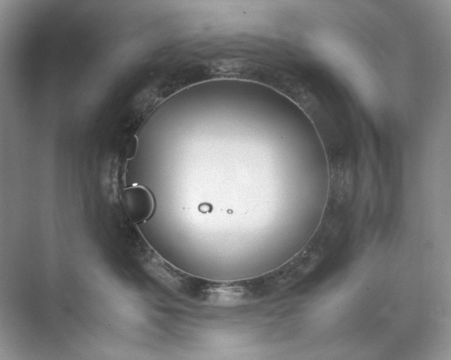 X0000071970525200607212321