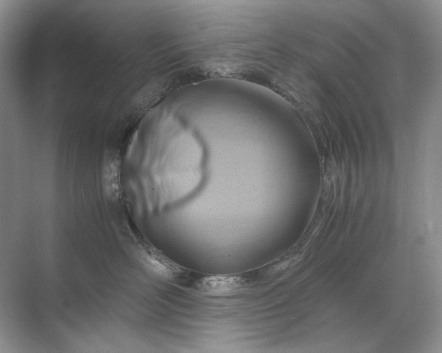 X0000071970526200607212321