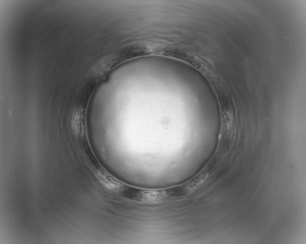 X0000071970527200607212321