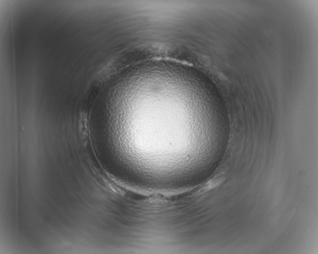 X0000071970528200607212321