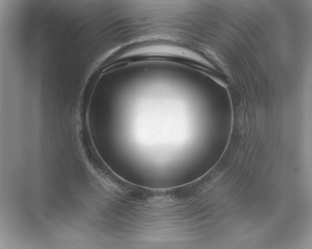 X0000071970536200607212320