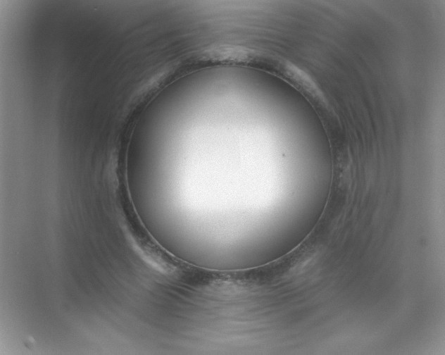 X0000071970538200607212321