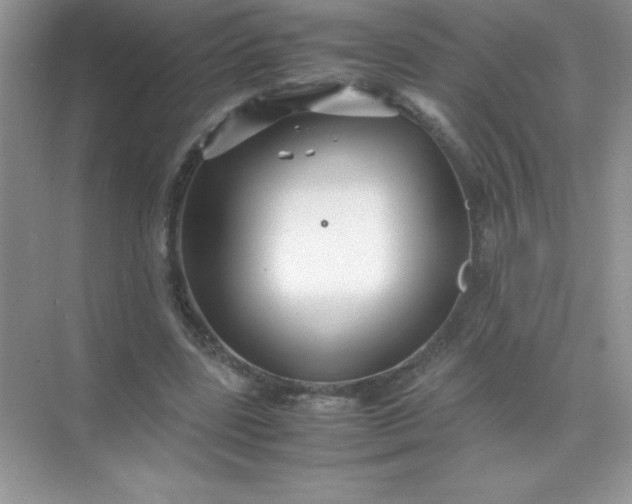 X0000071970539200607212321