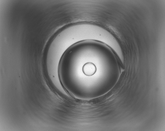 X0000071970540200607212321