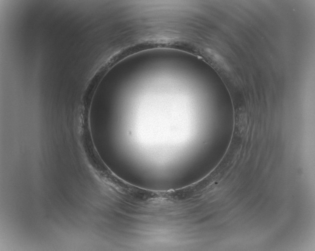 X0000071970544200607212321