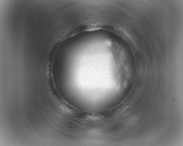 X0000071970545200607212321