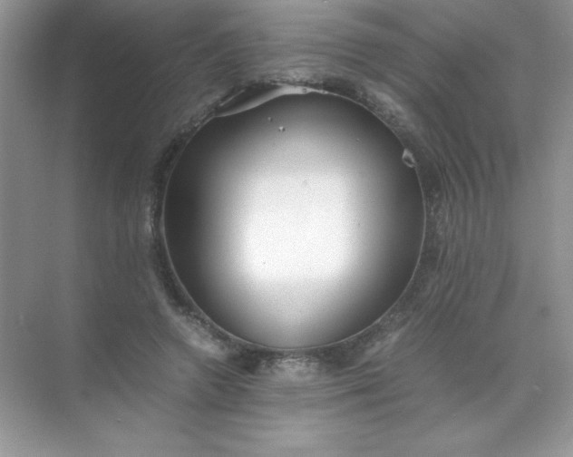 X0000071970546200607212321