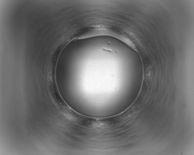 X0000071970547200607212321