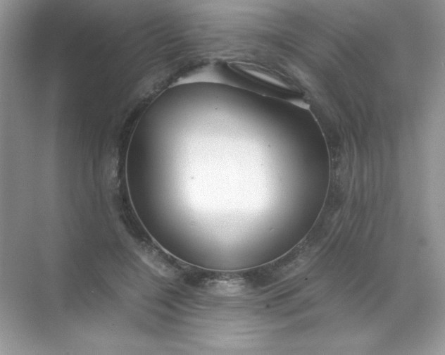 X0000071970548200607212321