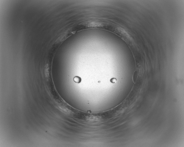 X0000071970549200607212321