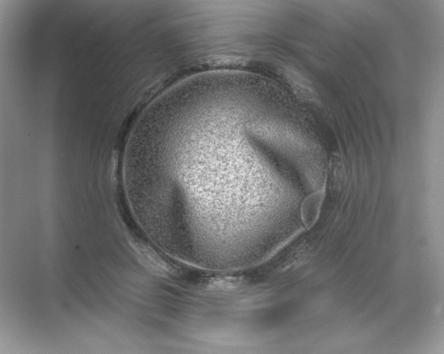 X0000071970550200607212321