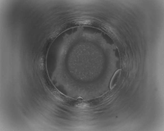 X0000071970551200607212321