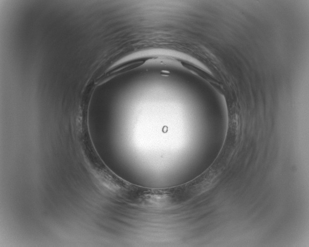 X0000071970552200607212321