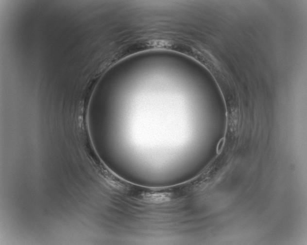 X0000071970553200607212321