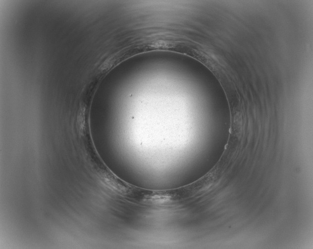 X0000071970554200607212321