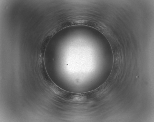 X0000071970555200607212321