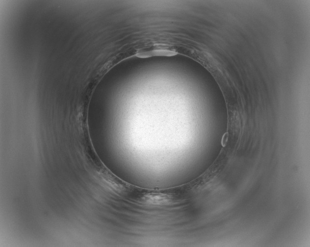 X0000071970557200607212321