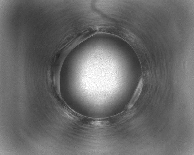 X0000071970558200607212321