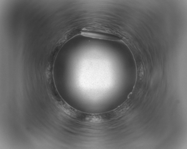 X0000071970559200607212321