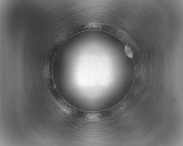 X0000071970560200607212321