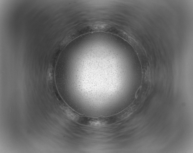 X0000071970561200607212321