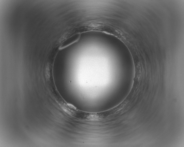 X0000071970562200607212321