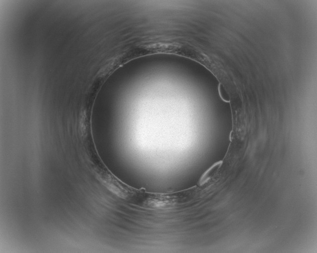 X0000071970563200607212321