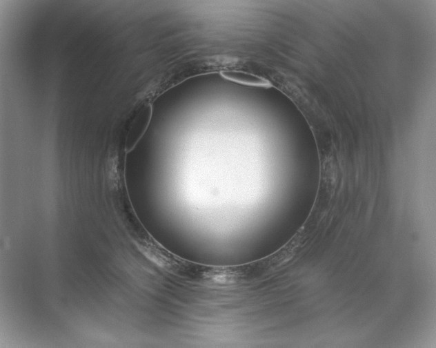 X0000071970564200607212321