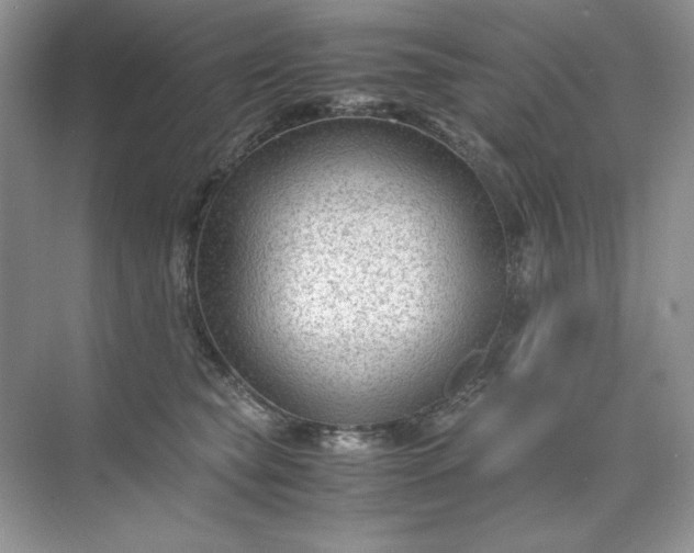 X0000071970565200607212321