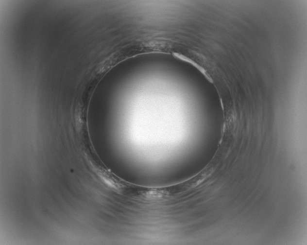 X0000071970566200607212321