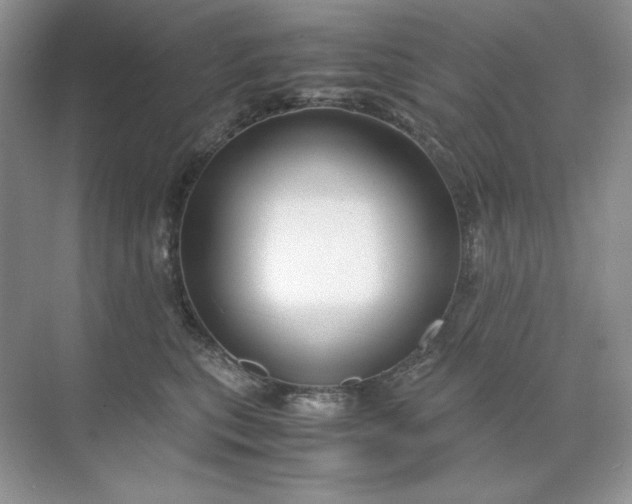 X0000071970567200607212321