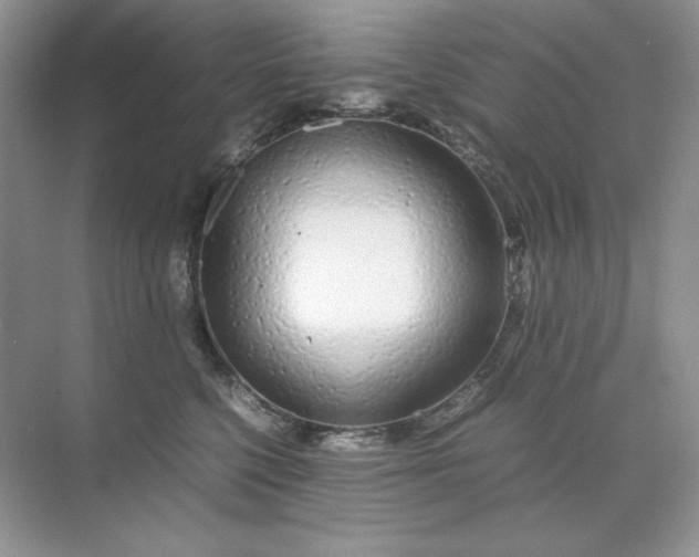 X0000071970568200607212321